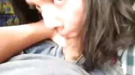 الأمريكية الحمار 2 ا ...
