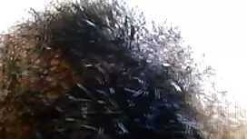يضرطن تحت أنفك سكس ا ...