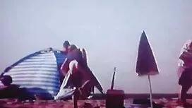 عيد ميلاد محارم اجنب ...