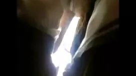 أدريانا نيكول سكساجن ...