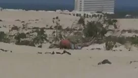 سارة توين محارم سكس  ...