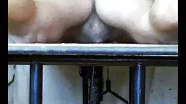 الجنس سكس اجنبى حديث ...