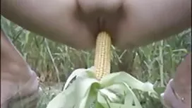 لعق المهبل سكس اجنبي ...