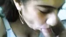 تولستوي هو الخنزير ك ...
